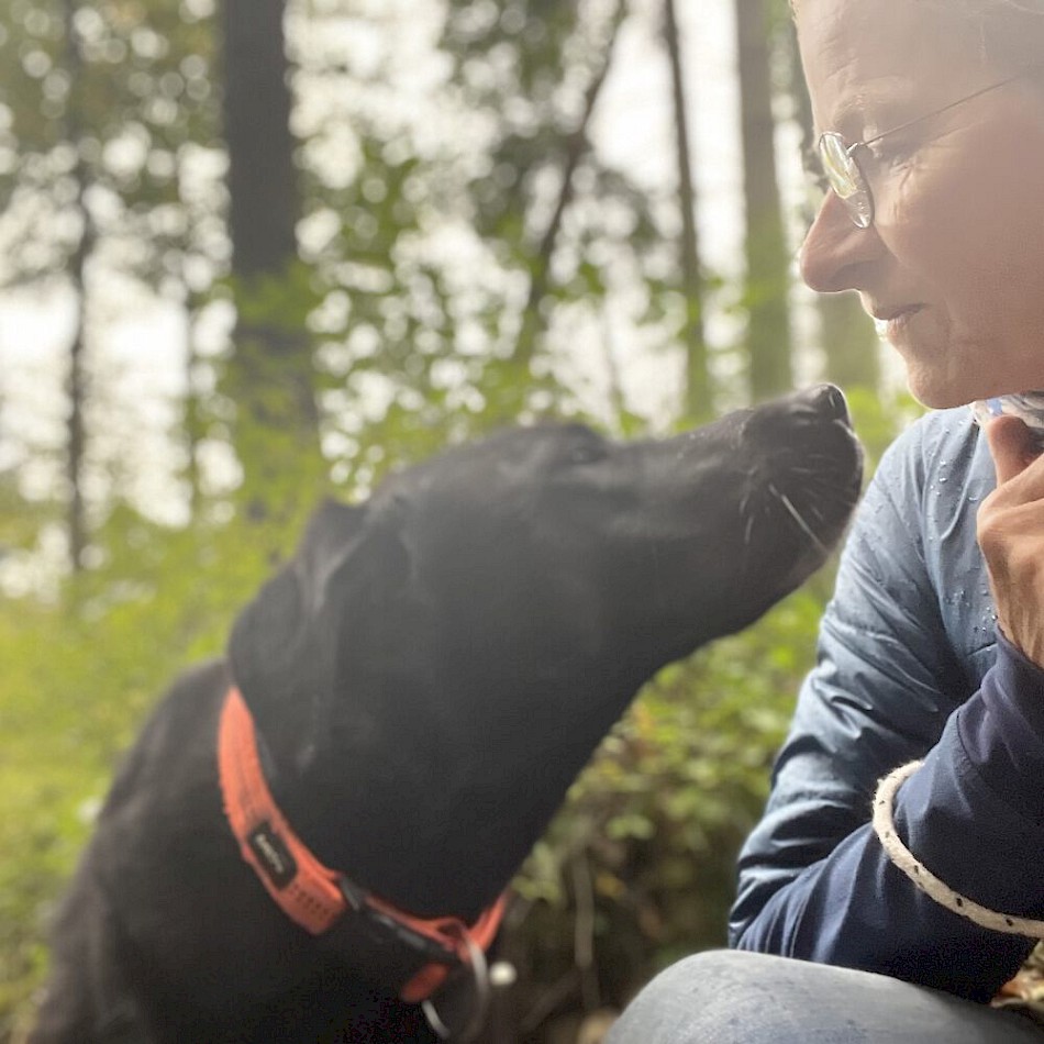 Dogs-to-Bi Hunde-Training im Wald