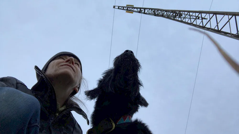 Dogs-to-Bi Geschichten Blog zu Hundesitting bei Bianka Krammer