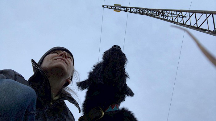 Dogs-to-Bi Geschichten Blog zu Hundesitting bei Bianka Krammer