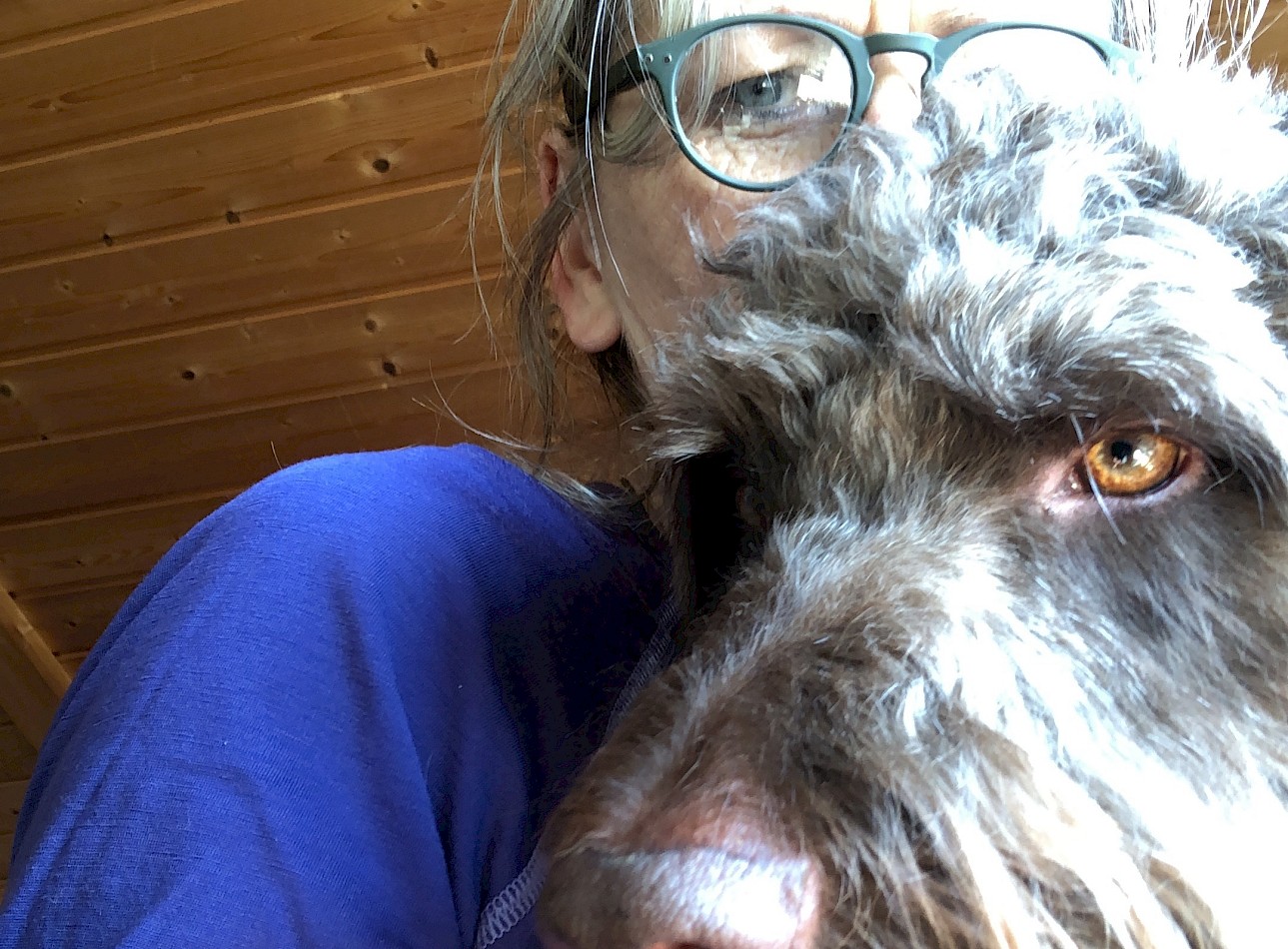 Johnson - ein besonderer Labradoodle bei Dogs-to-Bi