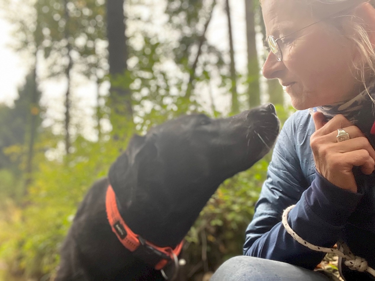 Dogs-to-Bi Hundesitting in Einzelbetreuung - gut für Angsthunde